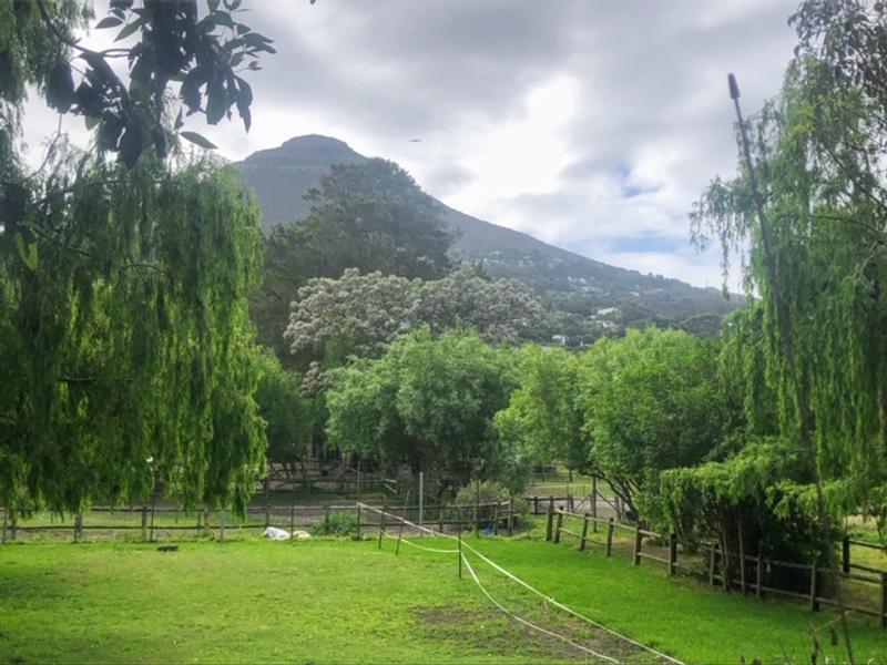 To Let 1 Bedroom Property for Rent in Hout Bay Western Cape